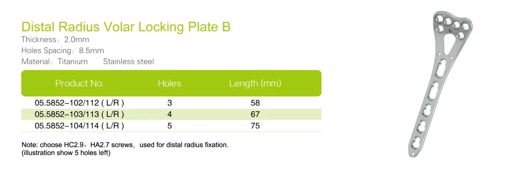 Orthopedic Implants Locking Plate Multi Axial Distal Radius Cheap Price, Orthopedic, Medical Equipment